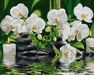 Orchids in quiet water 40x50cm paint by numbers
