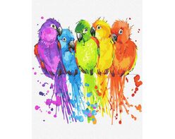Colorful parakeets