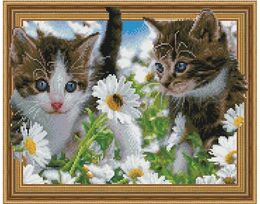Kittens in the chamomile field
