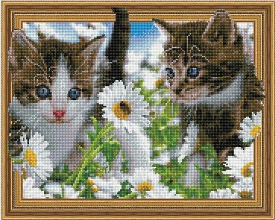Kittens in the chamomile field diamond painting
