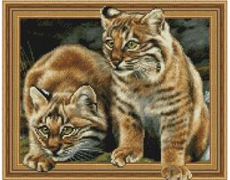 Bobcats