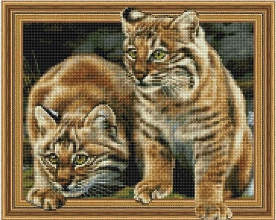 Bobcats diamond painting