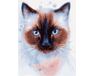 Siamese cat paint by numbers