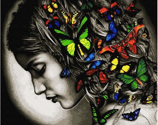 Colorful butterflies in the hair 40x50cm paint by numbers