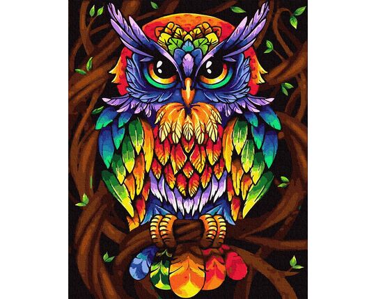Rainbow owl paint by numbers