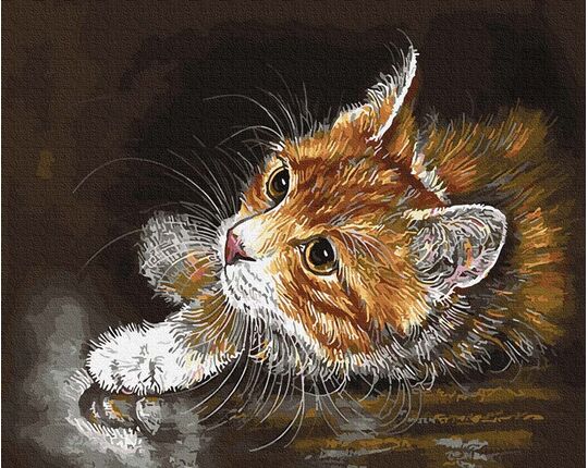 Ginger kitten paint by numbers