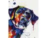Colorful dog paint by numbers
