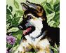 German shepherd puppy diamond painting
