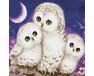 Polar owls diamond painting