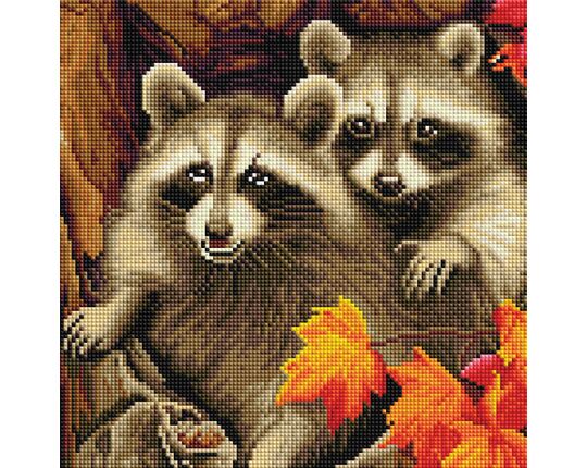 Lovely raccoons diamond painting