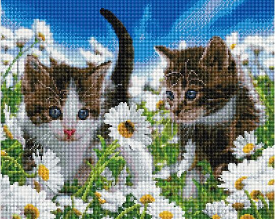 Kittens on a camomile field diamond painting