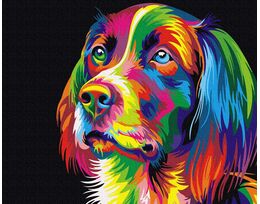 Colorful grace of the dog 50x65cm