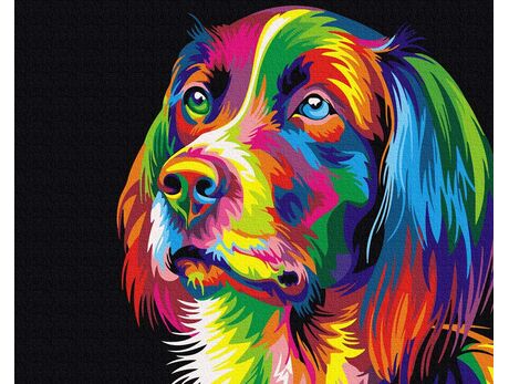Colorful grace of the dog 50x65cm paint by numbers