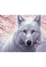 White Wolf 50x65cm