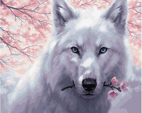 White Wolf 50x65cm paint by numbers