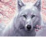 White Wolf paint by numbers
