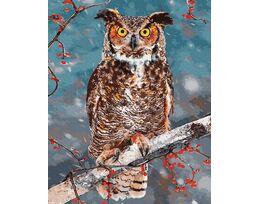 Owl - symbol of wisdom