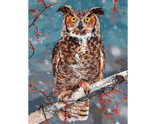 Owl - symbol of wisdom paint by numbers