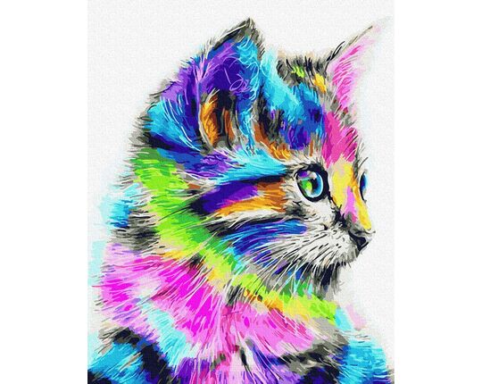 Holo cat 40x50cm paint by numbers