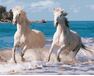 White horses paint by numbers