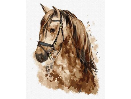 Beautiful horse 40x50cm paint by numbers