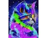 Colorful cat paint by numbers