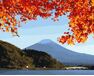 Mount Fuji in the fall paint by numbers