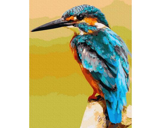 Kingfisher paint by numbers