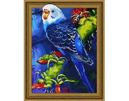 Budgie