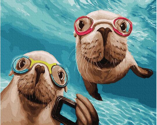 Curious seals paint by numbers