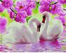 White swans on the water diamond painting