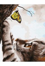 Kitten and butterfly