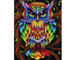 Rainbow owl