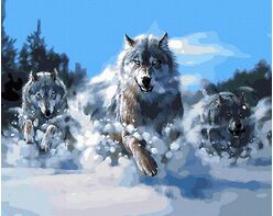 Brave wolves