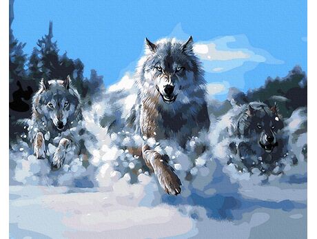 Brave wolves paint by numbers