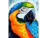 Rainbow Parrot paint by numbers