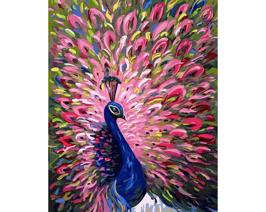 Colorful Peacock 40x50cm paint by numbers