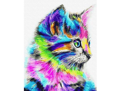 Holo cat 50x65cm paint by numbers
