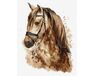Beautiful horse 50x65cm paint by numbers