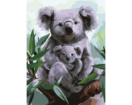 Koala paint by numbers