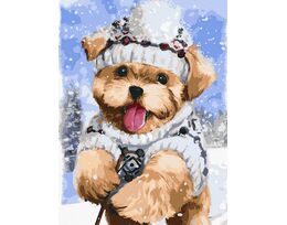 Terrier in the snow