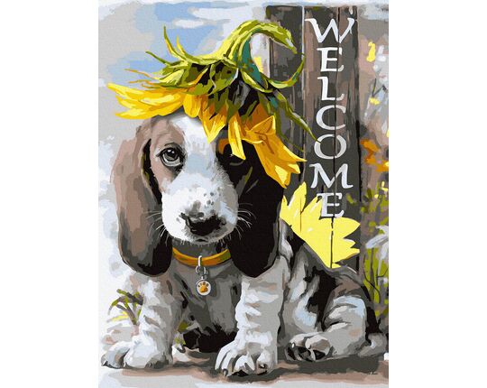 Welcome! paint by numbers