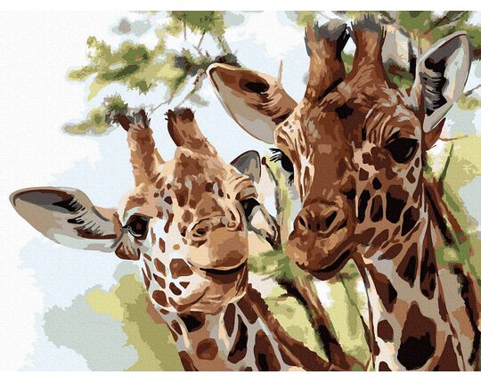 Giraffe 30x40cm paint by numbers