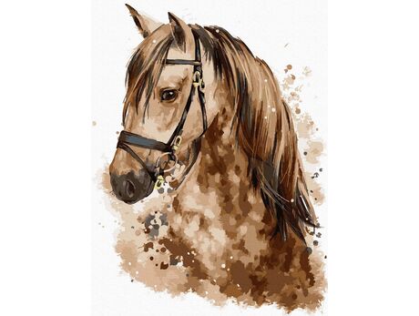 Beautiful horse 30x40cm paint by numbers