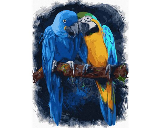 Lovebirds 30x40cm paint by numbers