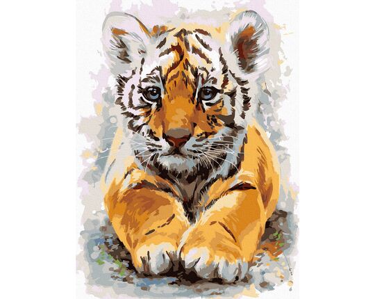 Baby tiger 30x40cm paint by numbers