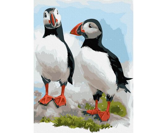 Colorful Puffins from Iceland paint by numbers