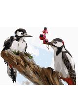 Great spotted woodpecker 30x40cm