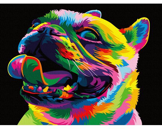 Rainbow Bulldog paint by numbers