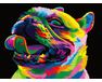 Rainbow Bulldog paint by numbers